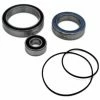 Kit Roulements + Joints Toriques Black Bearing Pour Moteur Yamaha PW / PW-X 1 Kit Roulements + Joints Toriques Black Bearing Pour Moteur Yamaha PW / PW-X -Tout le Vélo Électrique Soldes unnamed file 1733