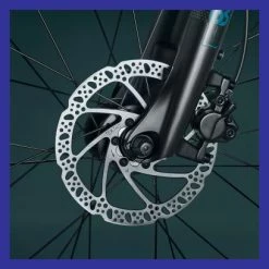 VTC Électrique Riverside 500 E Panaché 8V 418 Wh Vert 2021 12 VTC Électrique Riverside 500 E Panaché 8V 418 Wh Vert 2021 -Tout le Vélo Électrique Soldes unnamed file 3573